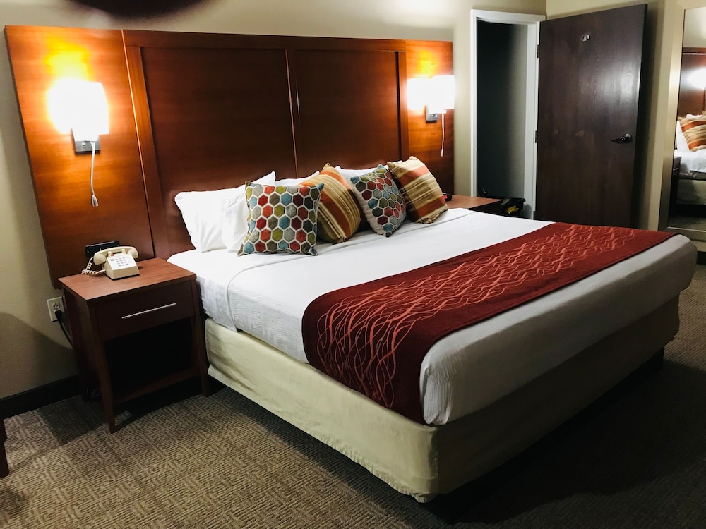 Comfort Inn Erie Near Presque Isle - photo 8