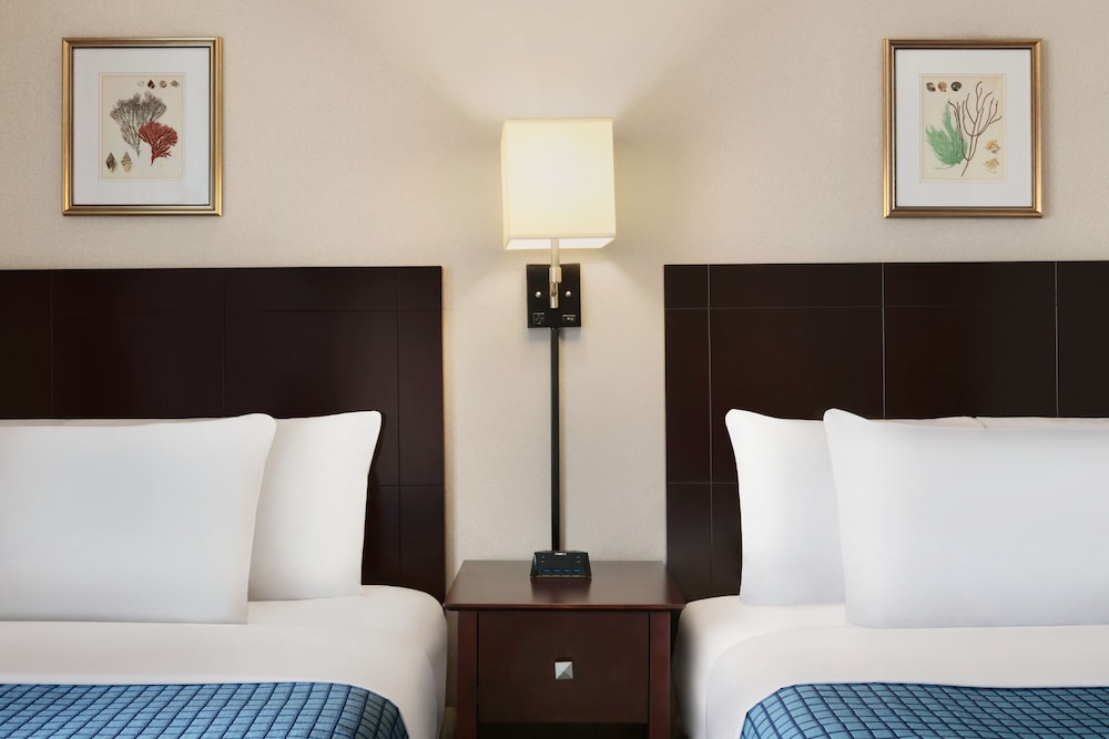 Harrison Hall Hotel - photo 20