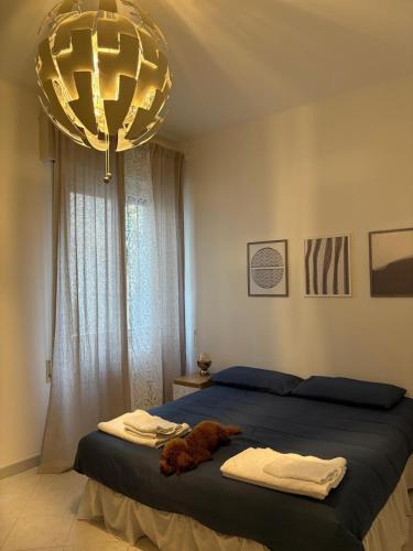 Casa dell’Opera — Pesaro — photo 3