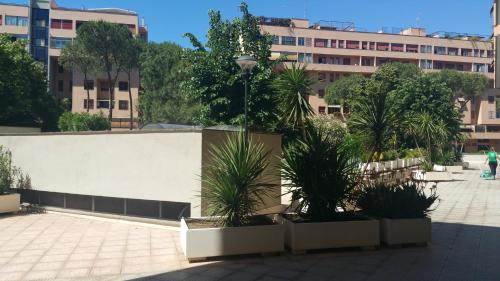 BB Nonna Roma - last minute hotel in Rome