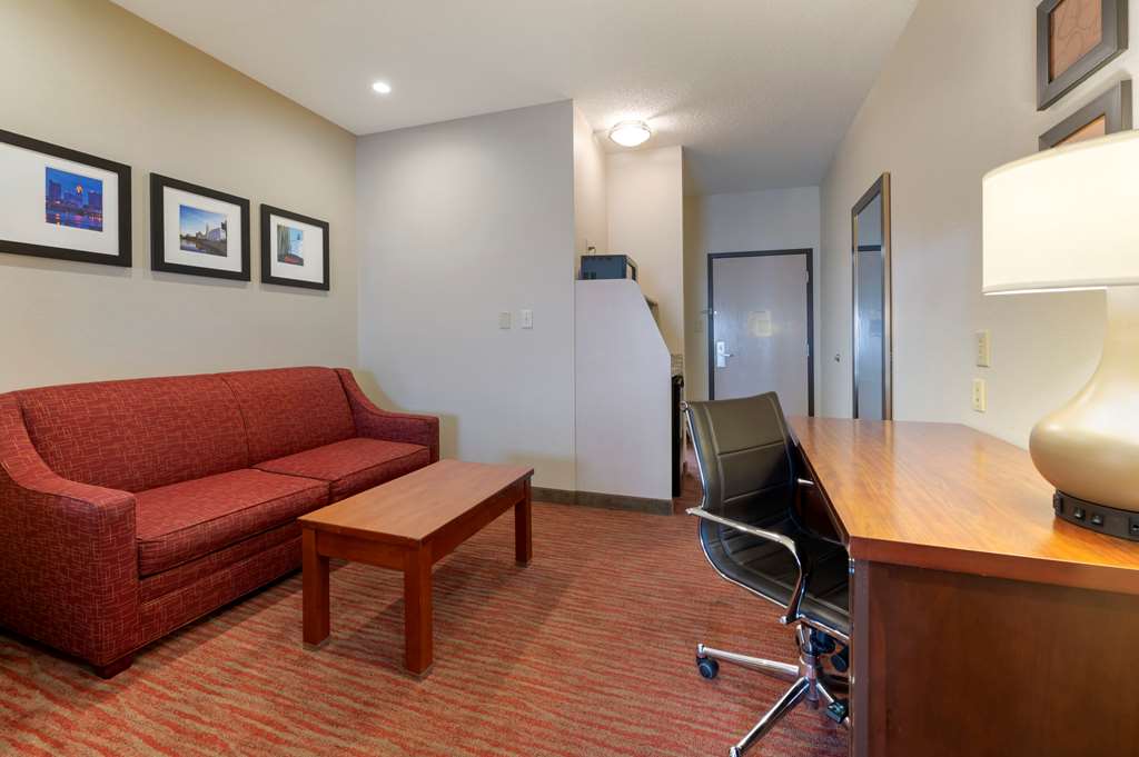 Comfort Suites Columbus Expo Center - photo 14