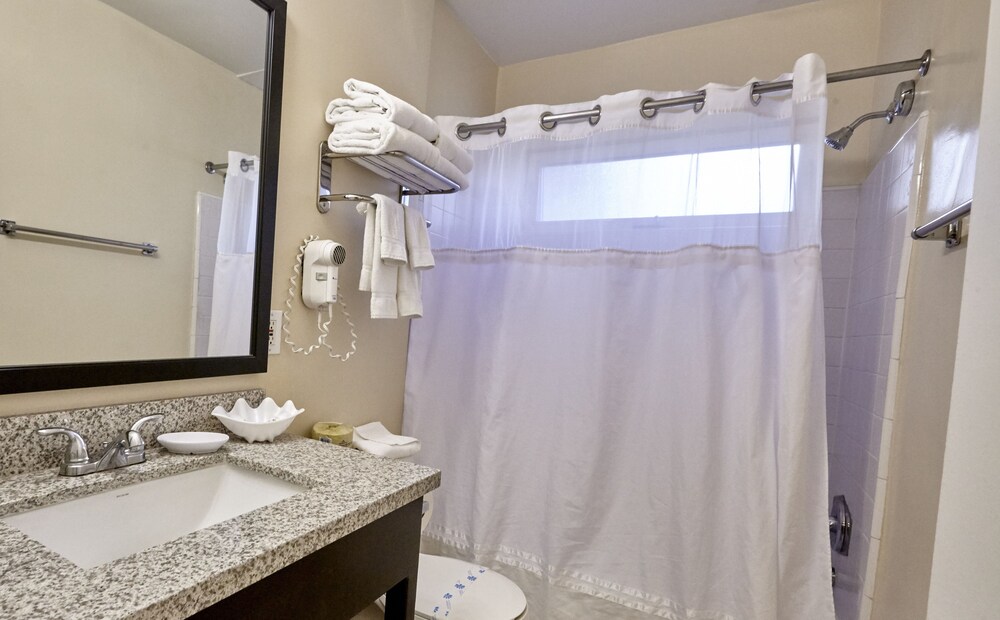 Hollywood Orchid Suites - photo 17