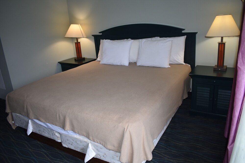 Casino Motel - photo 9