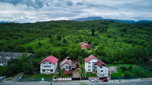 Casa Sima — Calimanesti — photo 4