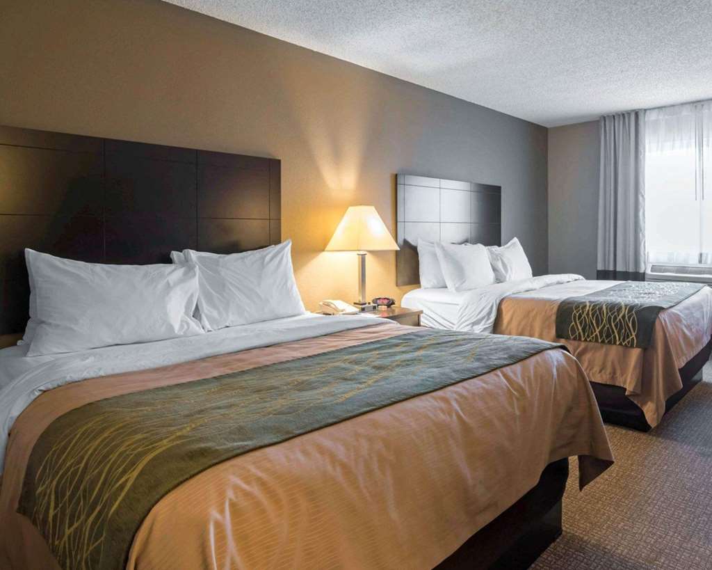 Comfort Inn Saugerties - photo 8