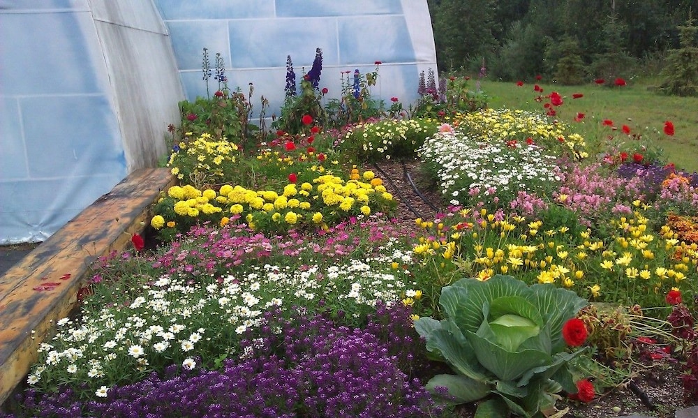 Chena Hot Springs Resort - photo 79