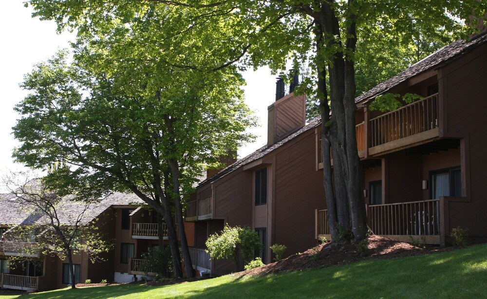 Shanty Creek Resorts Summit Village - photo 26