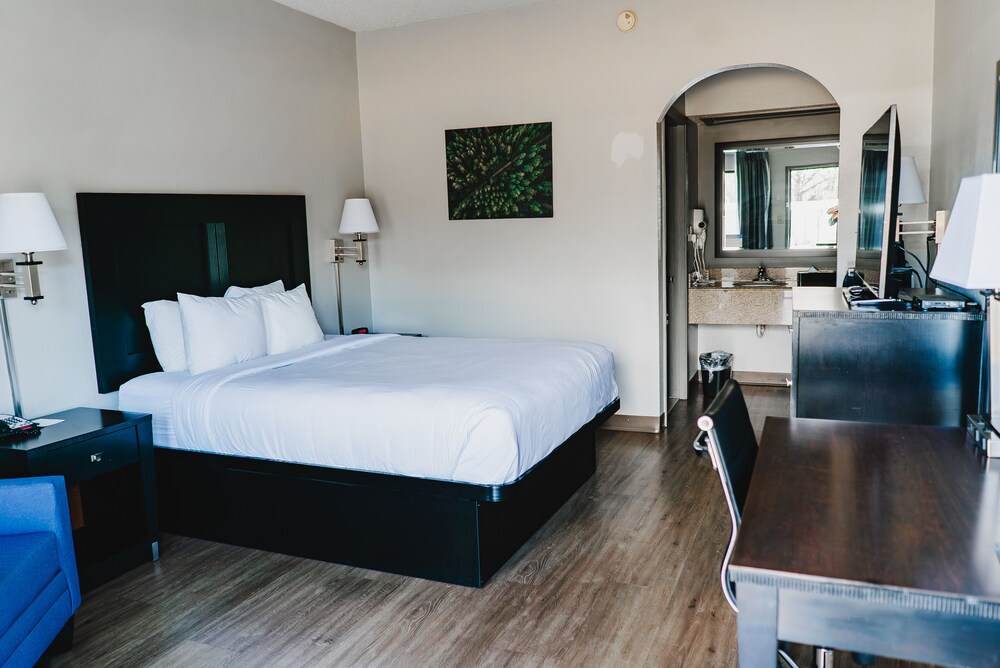 Quality Inn & Suites Monticello - photo 15