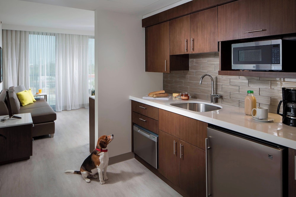 Residence Inn by Marriott Miami Beach South Beach - photo 17