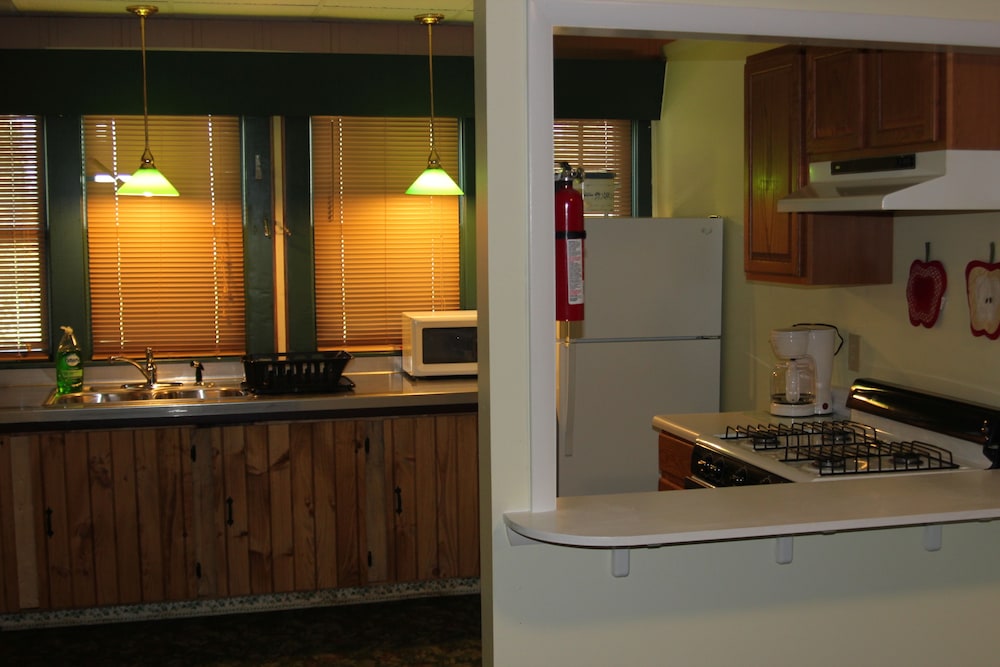 The Evergreen Motel - photo 49