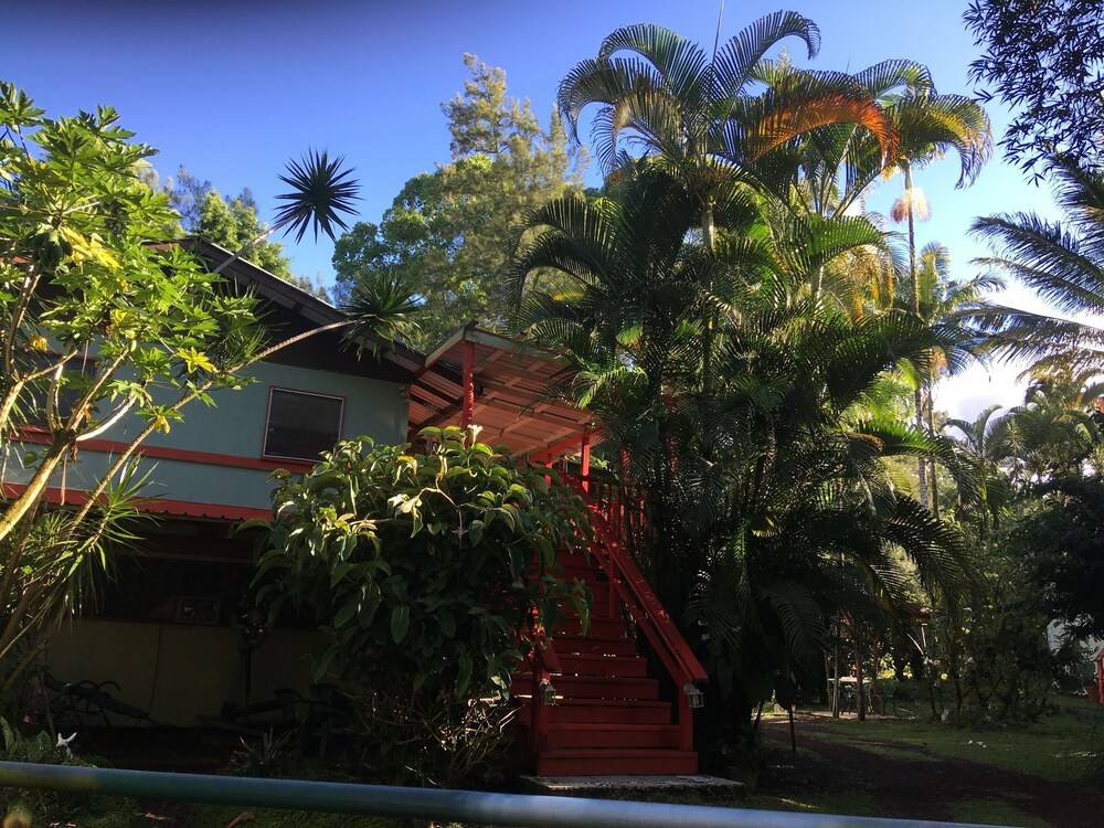 Enchanted Gardens - photo 30