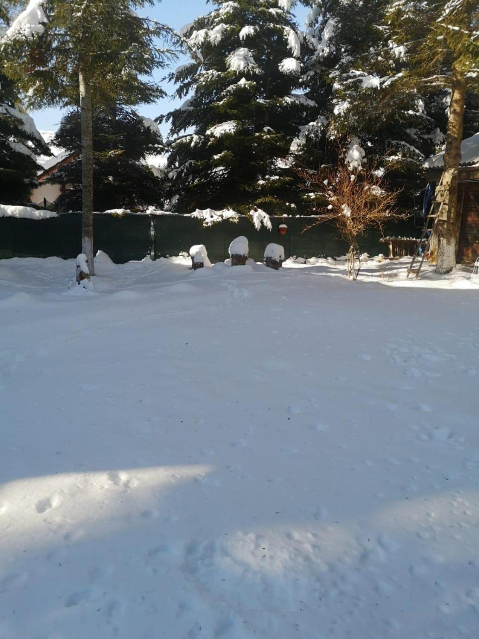 Cabana Din Poveste Valea Doftanei — hotel in Traisteni