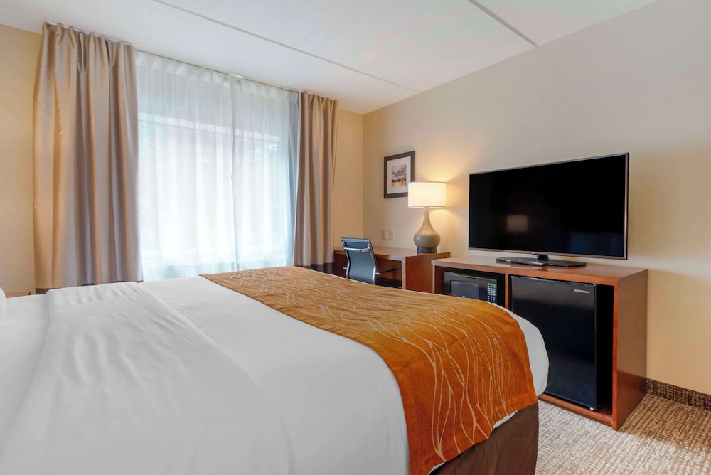Comfort Inn & Suites Wilkes Barre Arena - photo 16