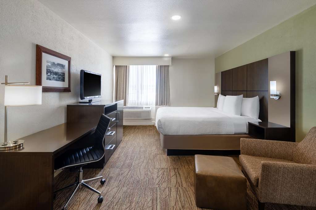Best Western Pony Soldier Inn & Suites - photo 17