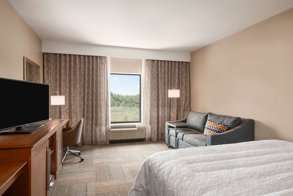 Hampton Inn & Suites Lavonia - photo 7