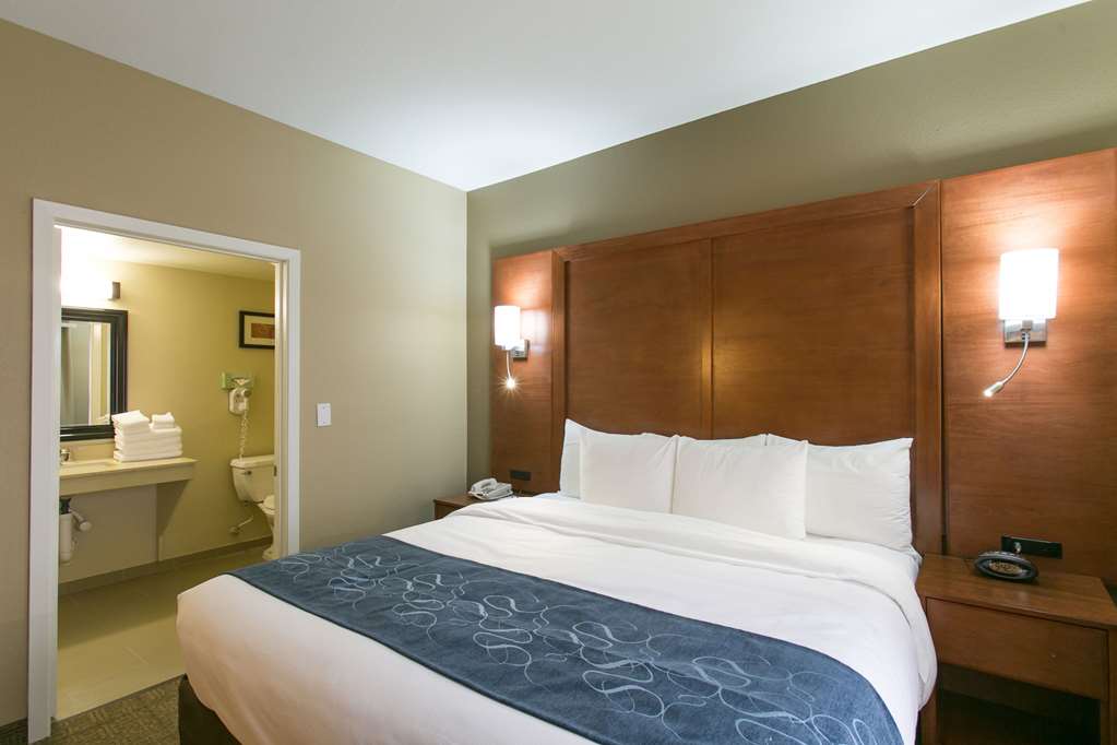 Comfort Suites Austin NW Lakeline - photo 20