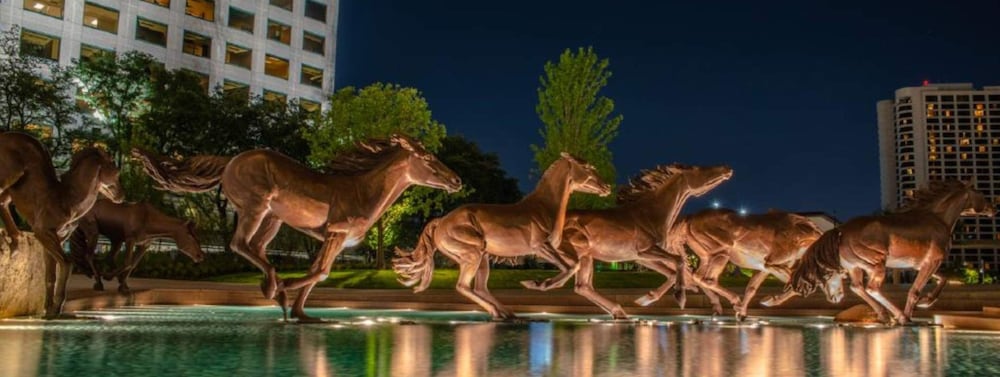 Hotel Indigo Irving Las Colinas by IHG - photo 56