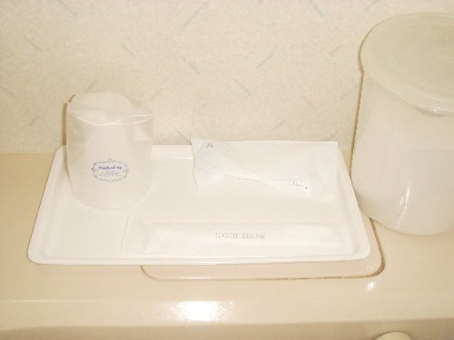 Business Hotel Del Sol in Utsunomiya, Japan