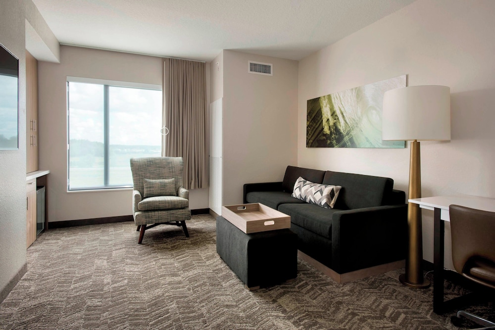 SpringHill Suites by Marriott Tampa Suncoast Parkway - photo 10