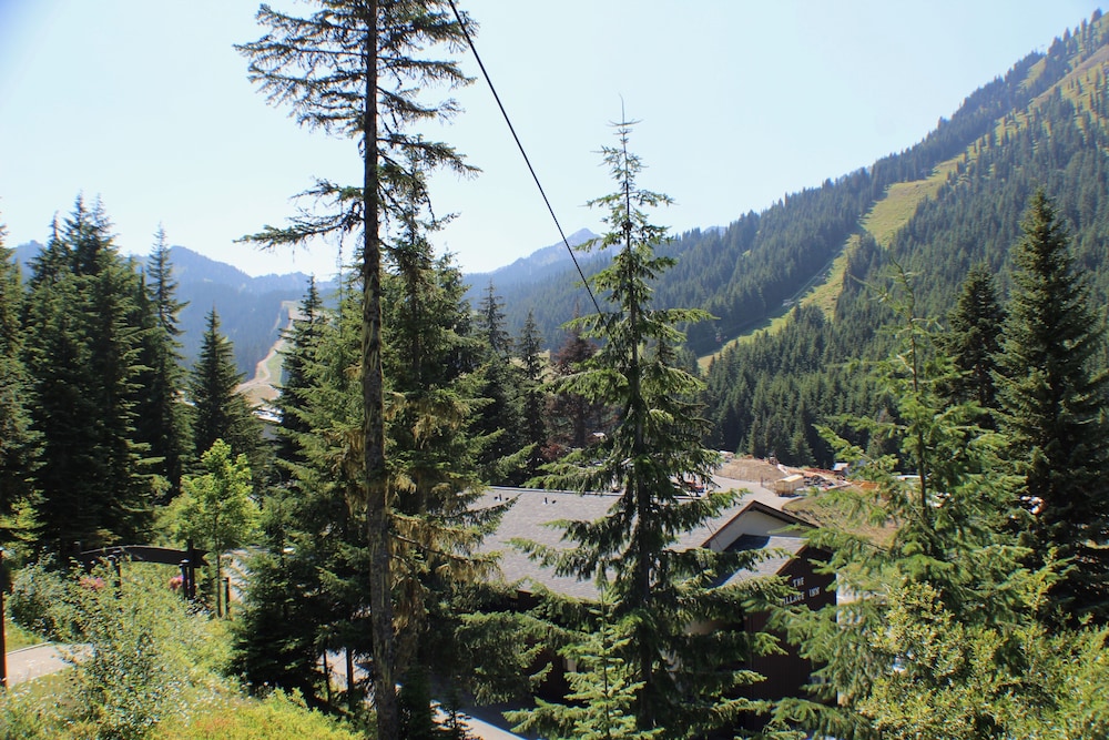 Crystal Chalets Condominiums at Crystal Mountain Ski Resort - photo 166