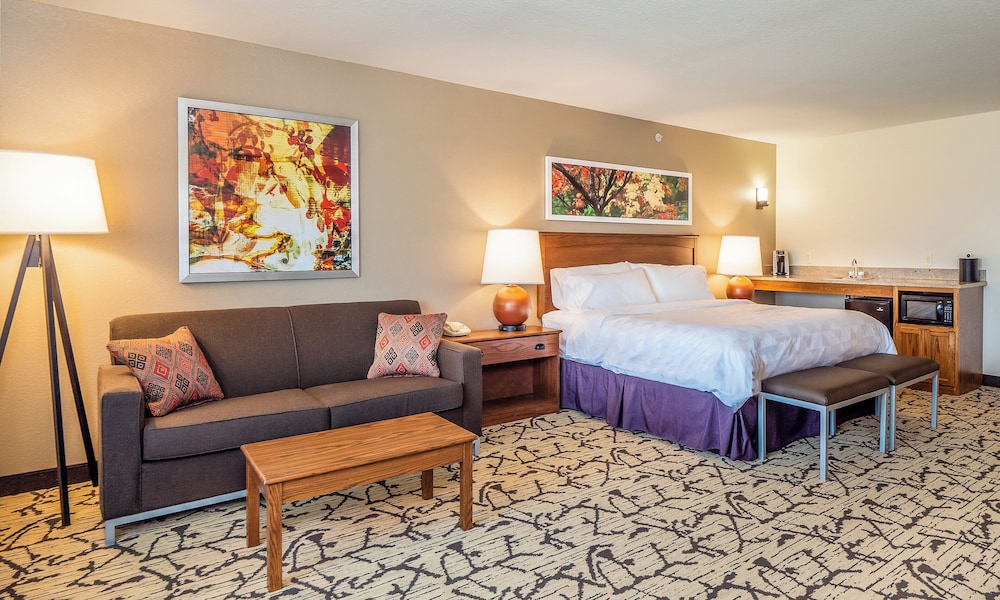 Holiday Inn Stevens Point Convention Ctr by IHG - photo 10