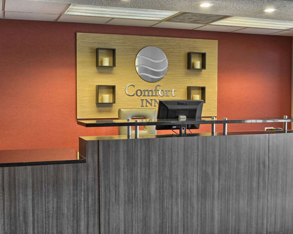 Comfort Inn Ruther Glen near Kings Dominion - photo 3