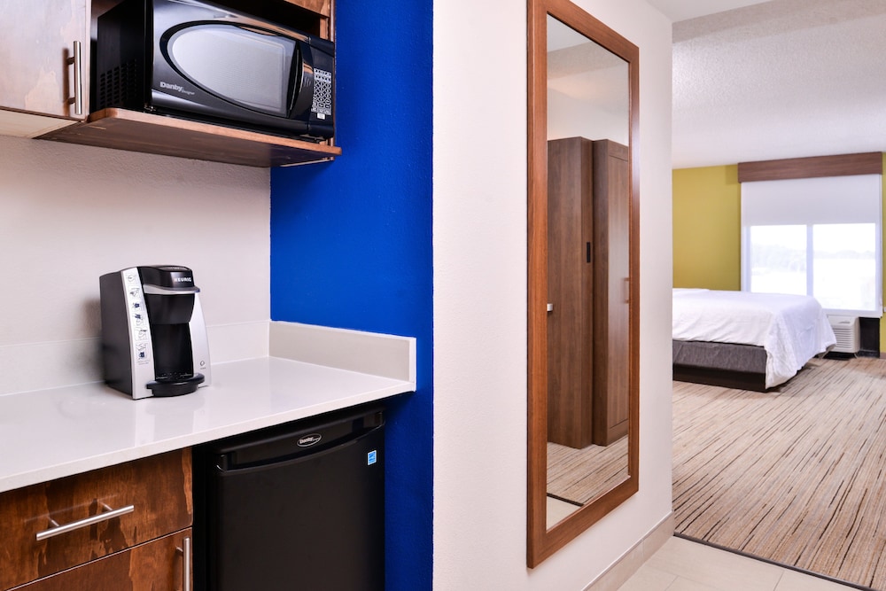 Holiday Inn Express Hotel & Suites Tampa Anderson Rd Veteran by IHG - photo 25