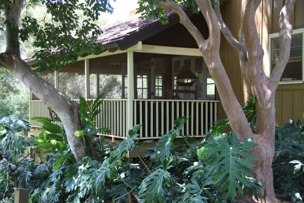 Molokai Vacation Properties Paniolo Hale - photo 8