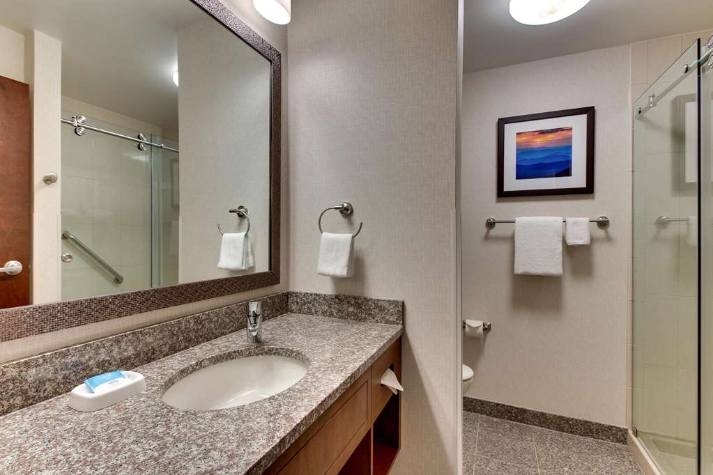 Drury Inn & Suites Knoxville West - photo 44