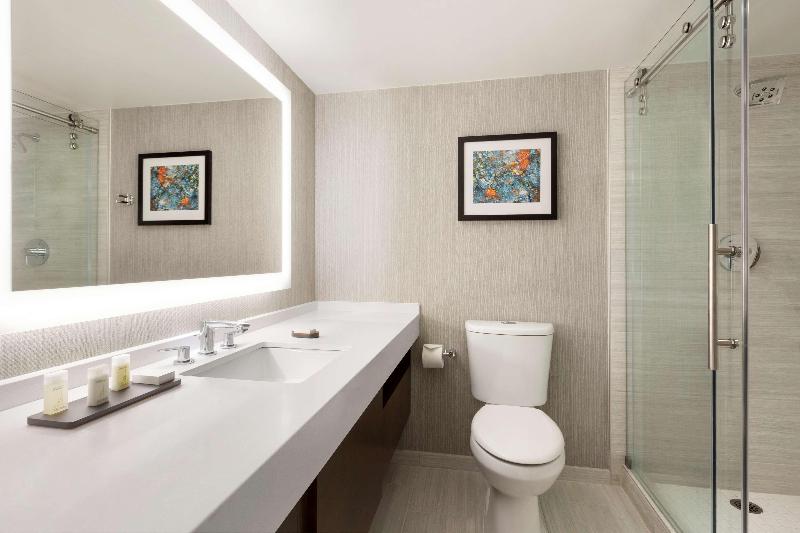Embassy Suites by Hilton Chicago Lombard Oak Brook - photo 54