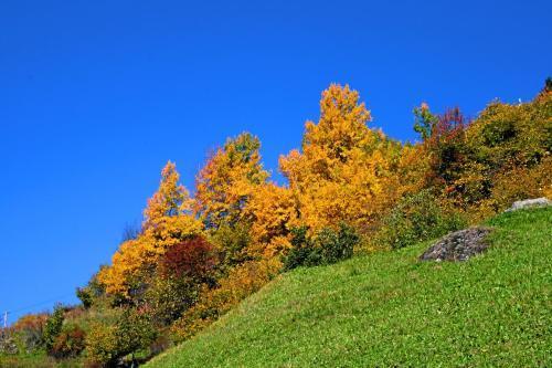 Hotel Wiese - last minute hotel in Sankt Leonhard