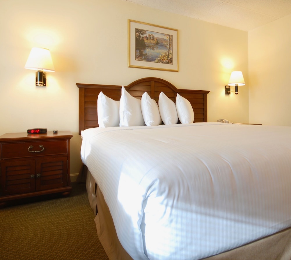 The Naswa Resort - photo 12