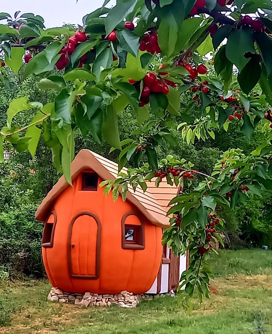 Krka Magic Pumpkin in Skradin, Croatia