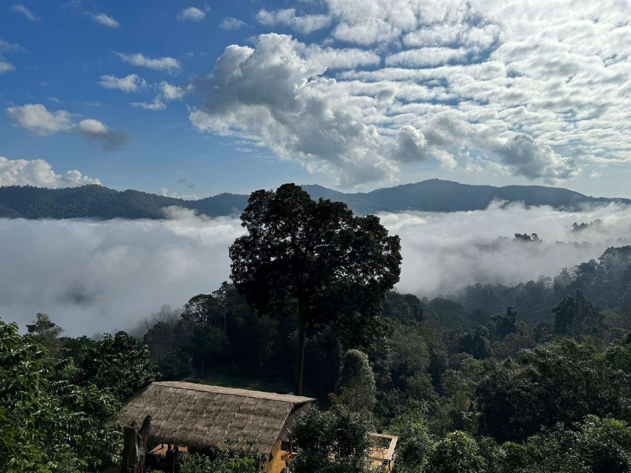 4Sky in Chiang Mai, Thailand