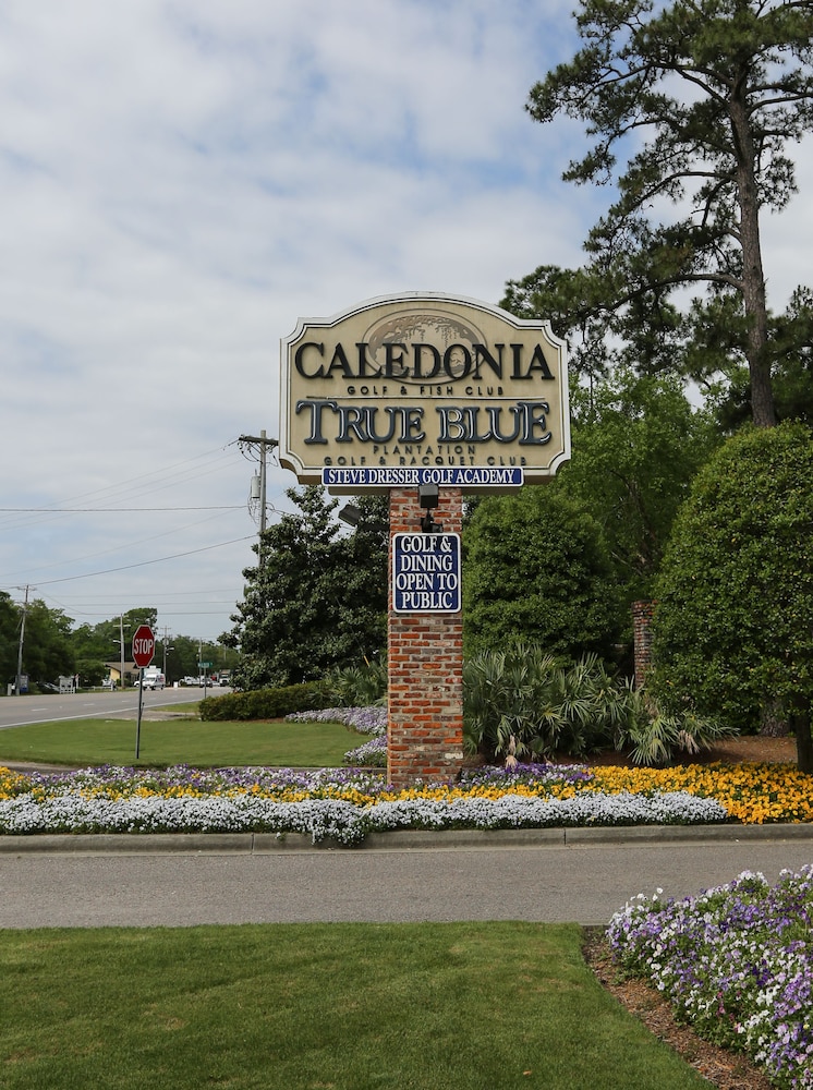 True Blue Resort - photo 100