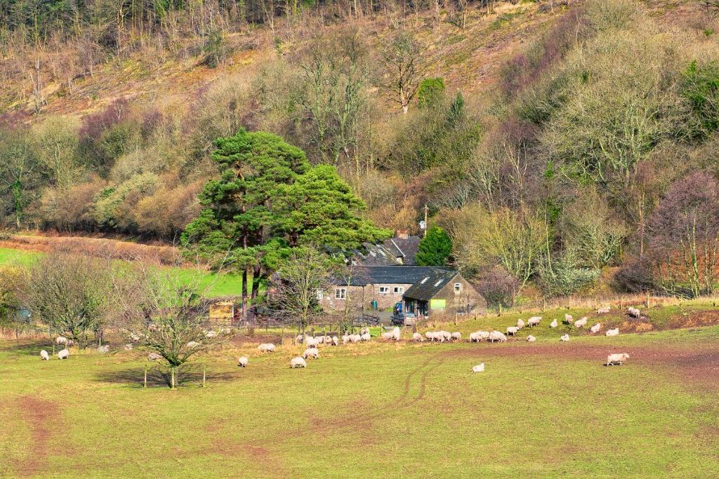 YHA Brecon Beacons Danywenallt in Brecon, United Kingdom