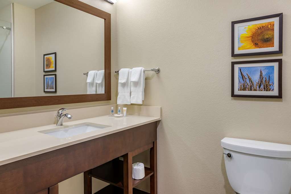 Comfort Inn & Suites Augusta - photo 22