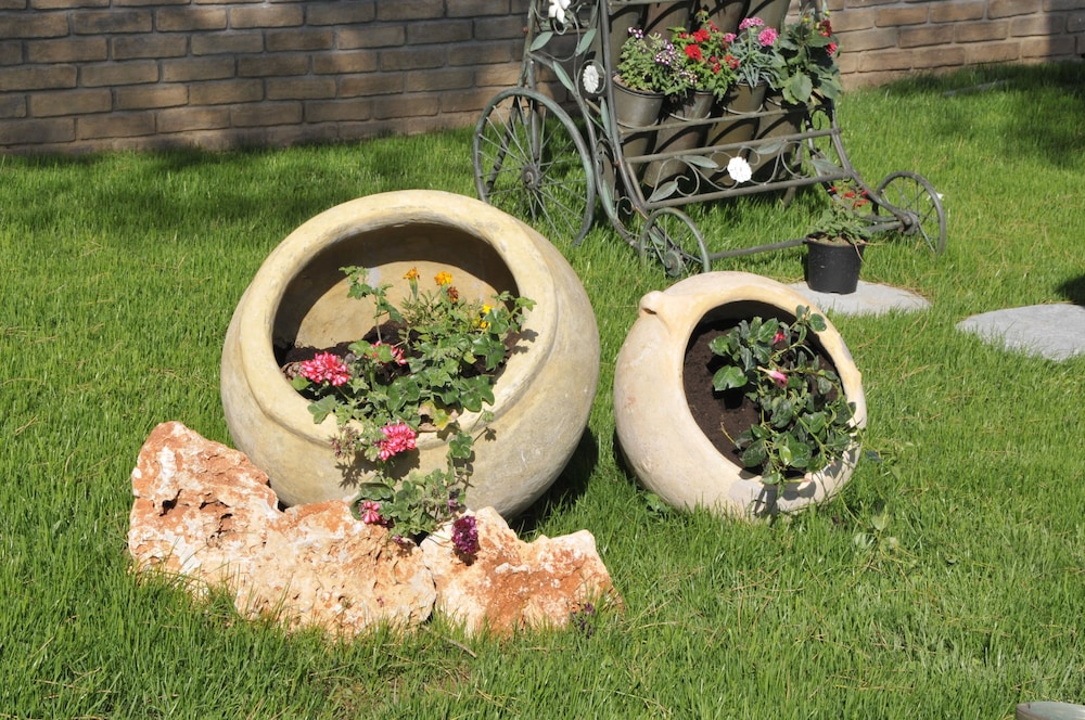 מראה חיצוני