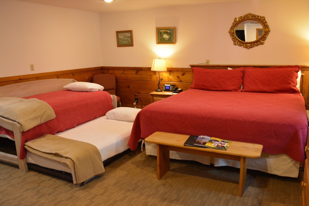Mountain Chalet Aspen - photo 21
