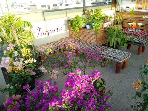 Tamaris Hotel in Chiclayo, Peru