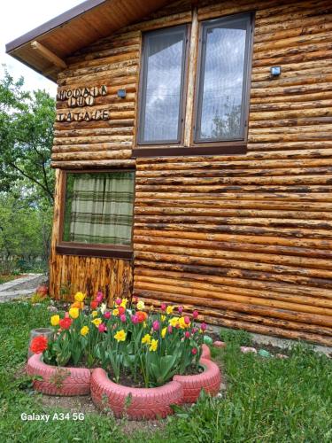 La tataie Nucșoara — Nucsoara — photo 4