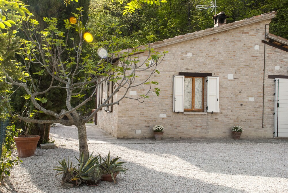 Calmancino Delle Selve in Urbino, Italy