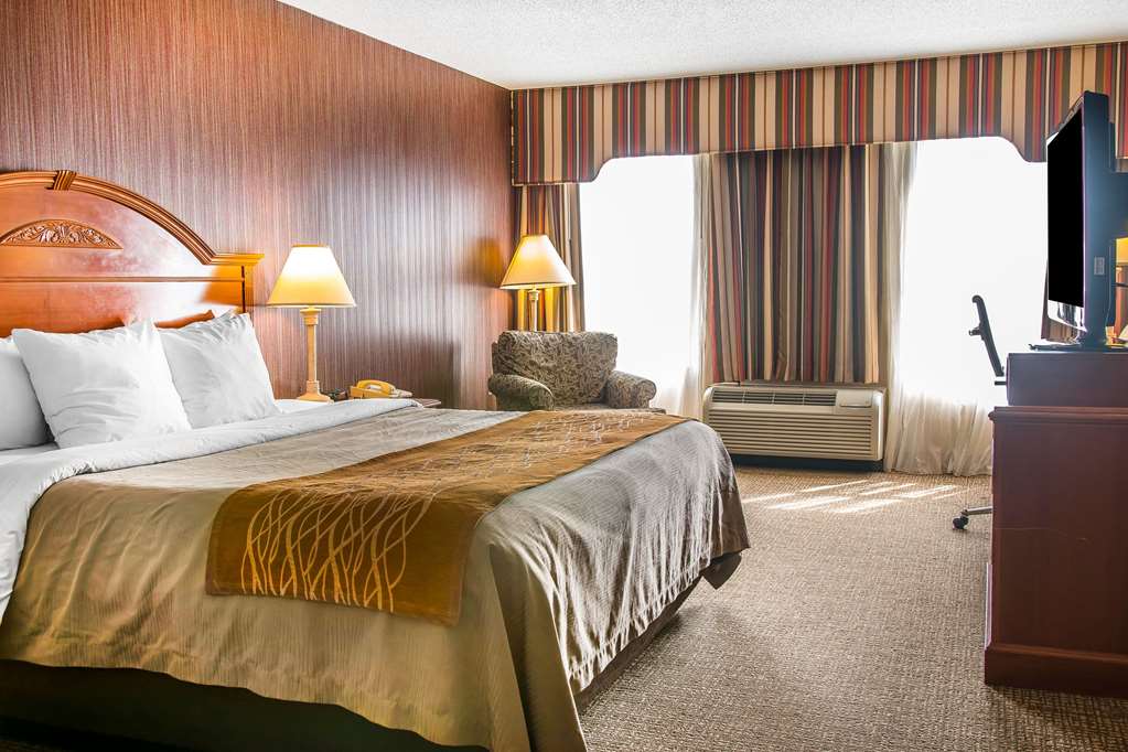 Comfort Inn Chelsea MI - photo 18