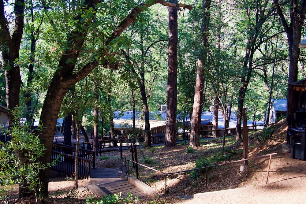 Yosemite Bug Rustic Mountain Resort - photo 129