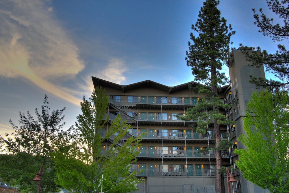 Pepper Tree Inn - photo 38