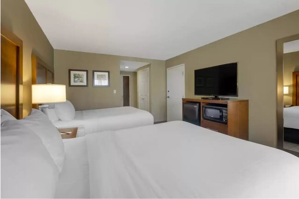 Comfort Inn & Suites Peachtree Corners Norcross - photo 8