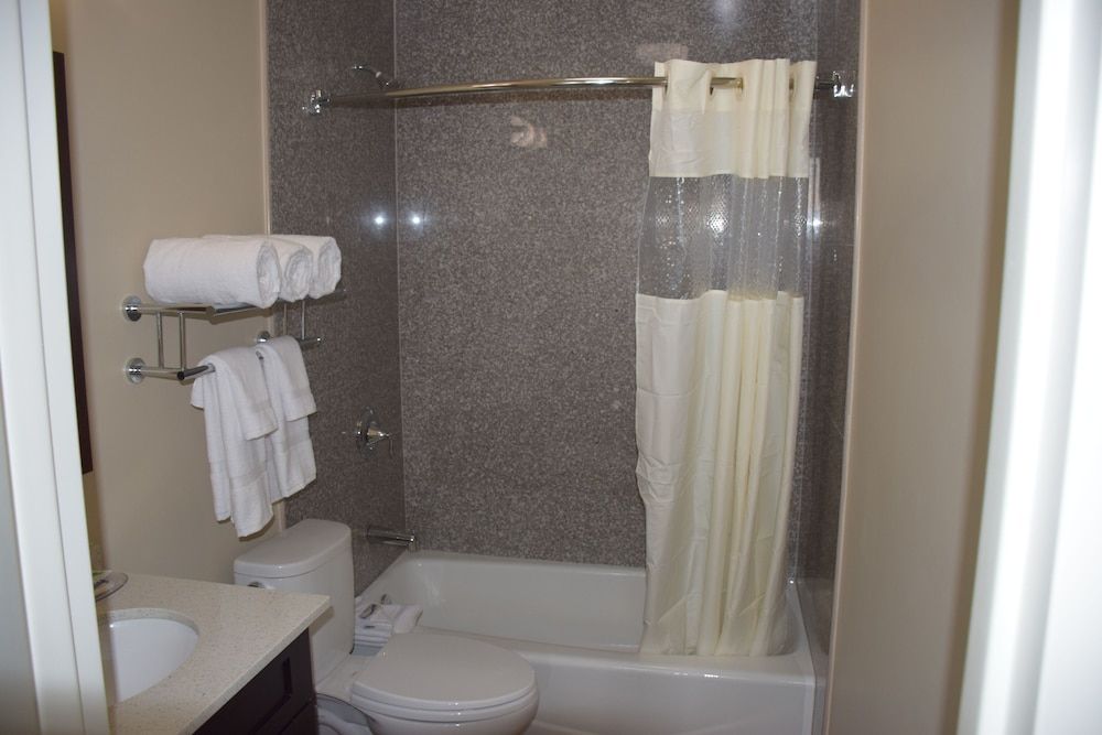 Astoria Delancy Inn and Suites - photo 7