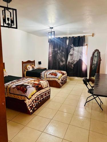 Alojamiento ideal — Torreon — photo 2