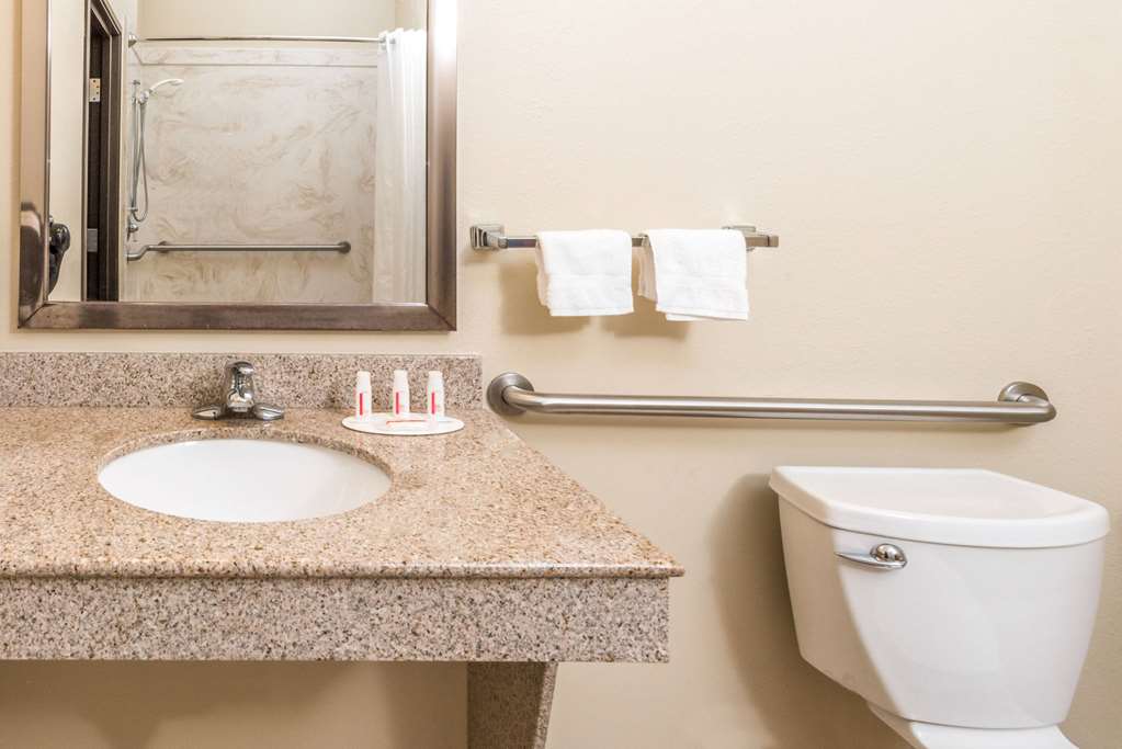 Ramada by Wyndham College Station - photo 7