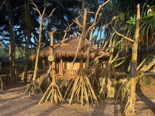 Coconut Beach - carbon neutral hotel in Bentota